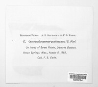 Image Associated With the Occurence